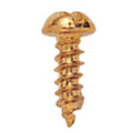 #2 Brass Screws (1/4")